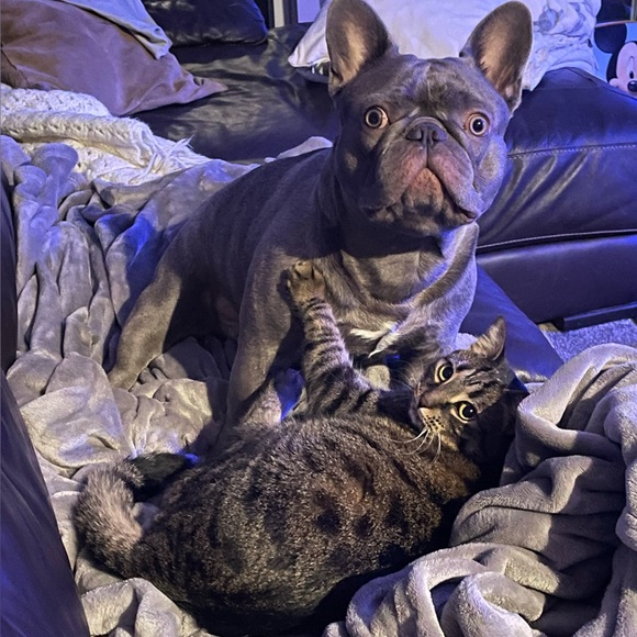 Meet your Posher, Keri - Picture 5 of 8